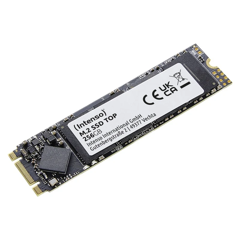 Intenso Top M.2 256 GB Serial ATA III