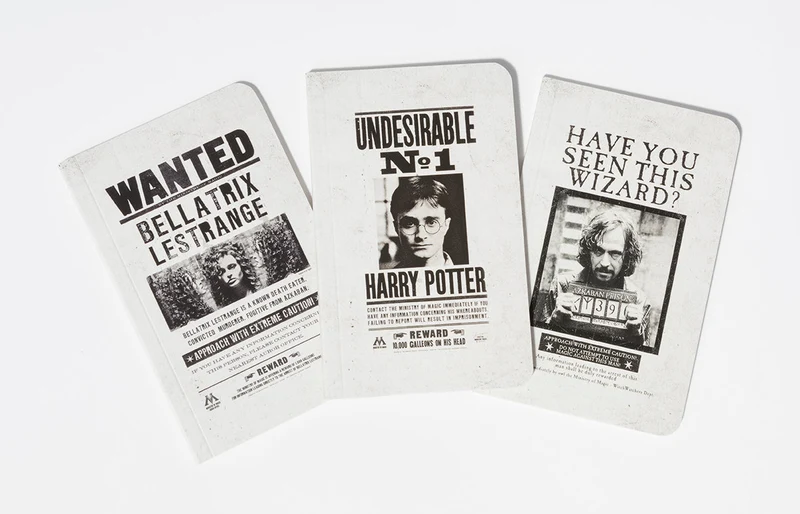 Harry Potter Steckbrief-Notizbücher 3er Set