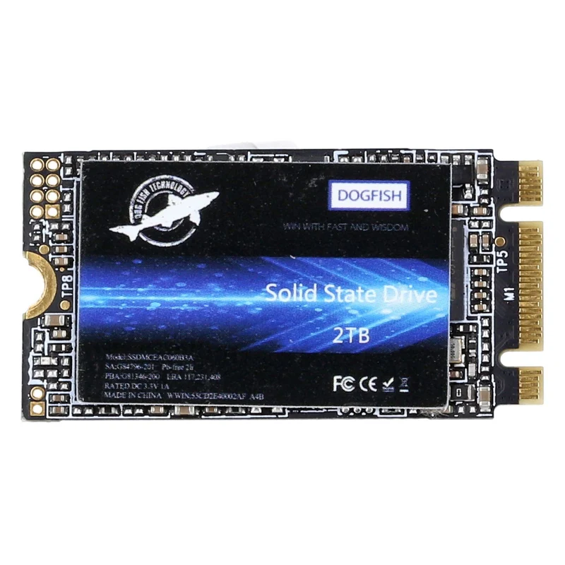 Dogfish M.2 2240 SATA int. SSD 2TB